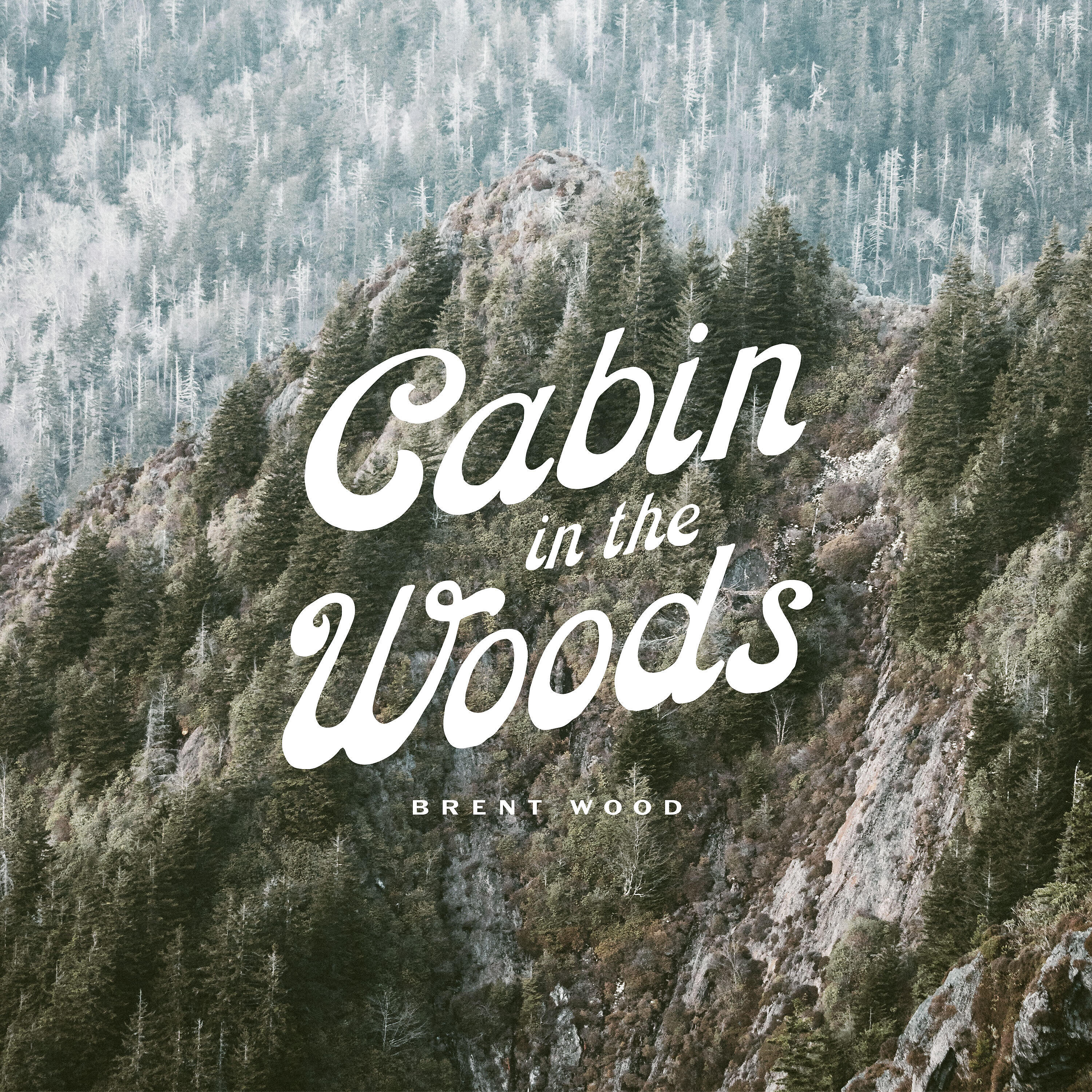 Brent Wood - Illuminate