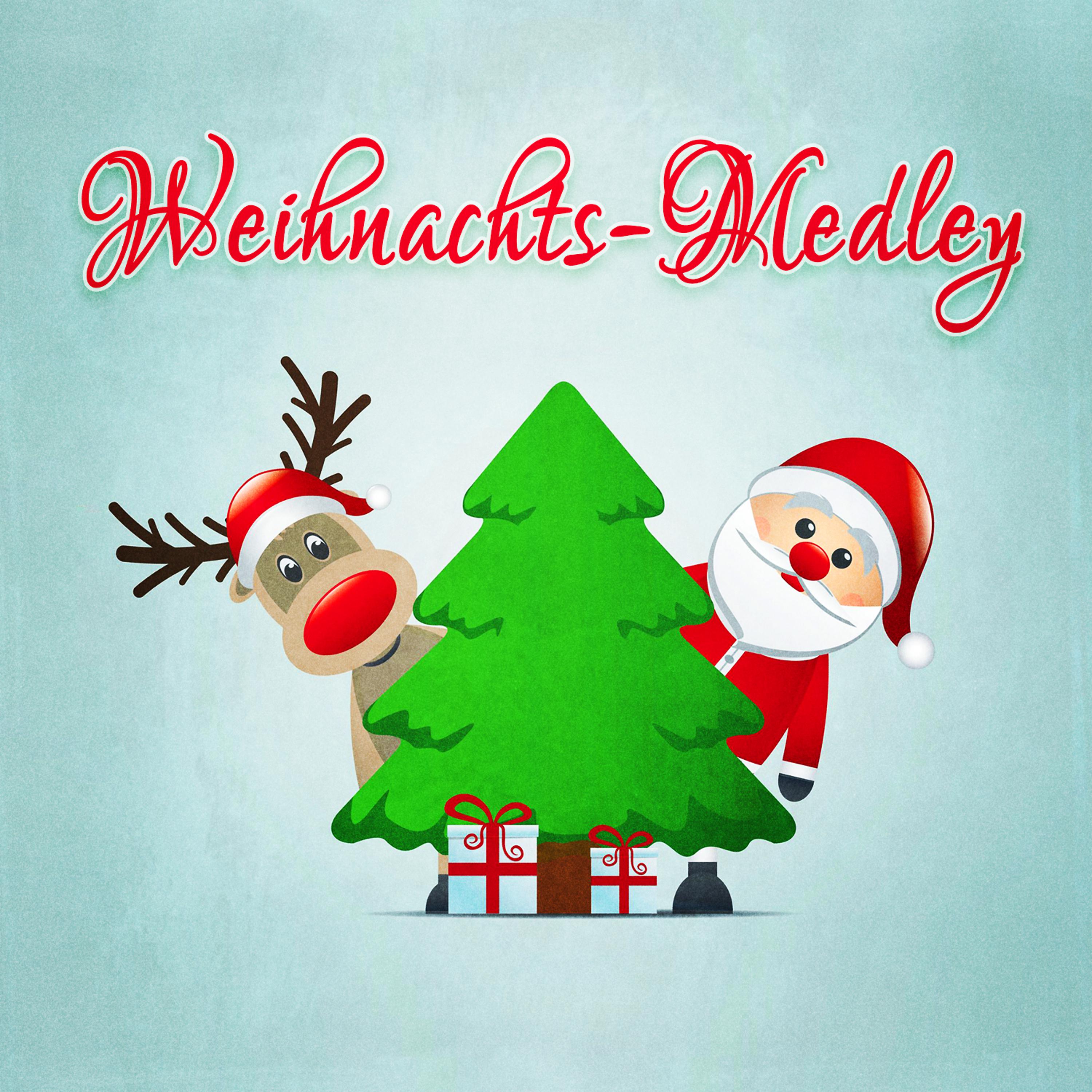 Постер альбома Ein unvergessenes Weihnachts-Medley (Die allerschönsten Weihnachtslieder in einer Medley-Version)