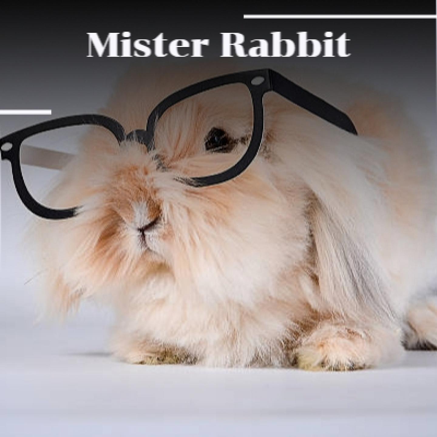 Постер альбома Mister Rabbit