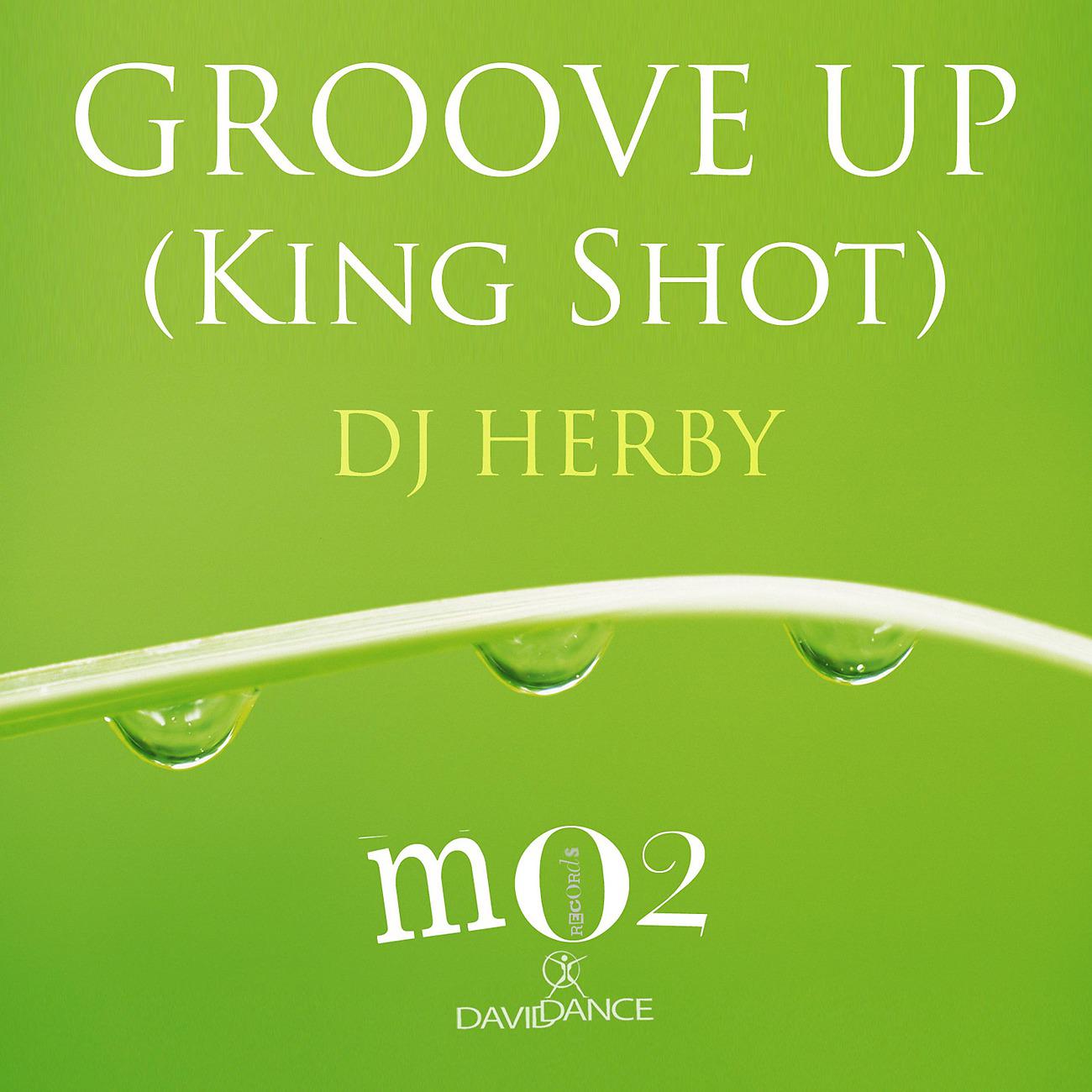 Постер альбома Groove Up (King Shot)