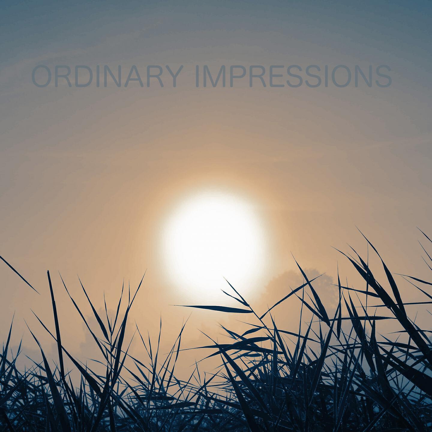 Jonathan Coffey - Intensity Beams