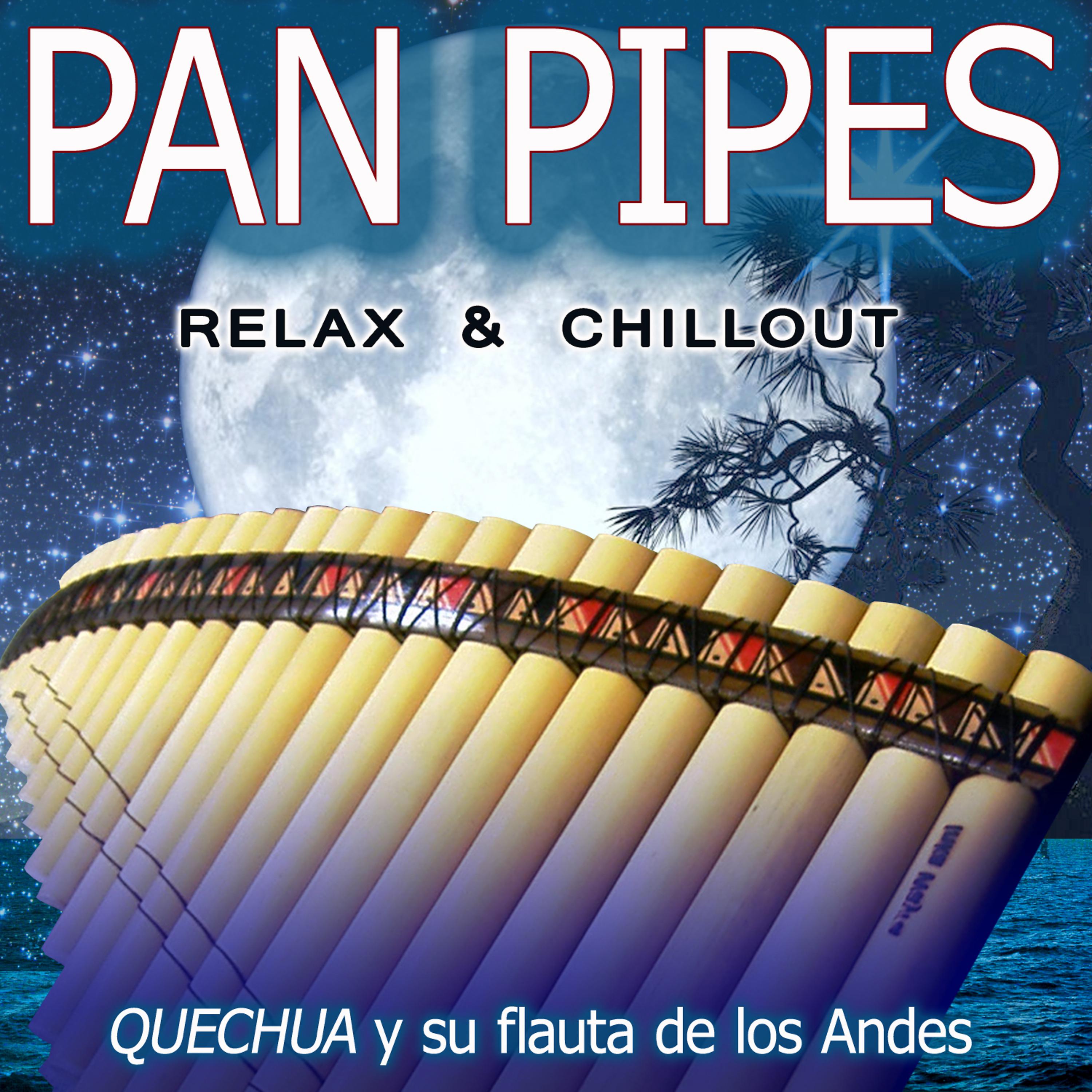 Постер альбома Pan Pipes: Relax & Chillout