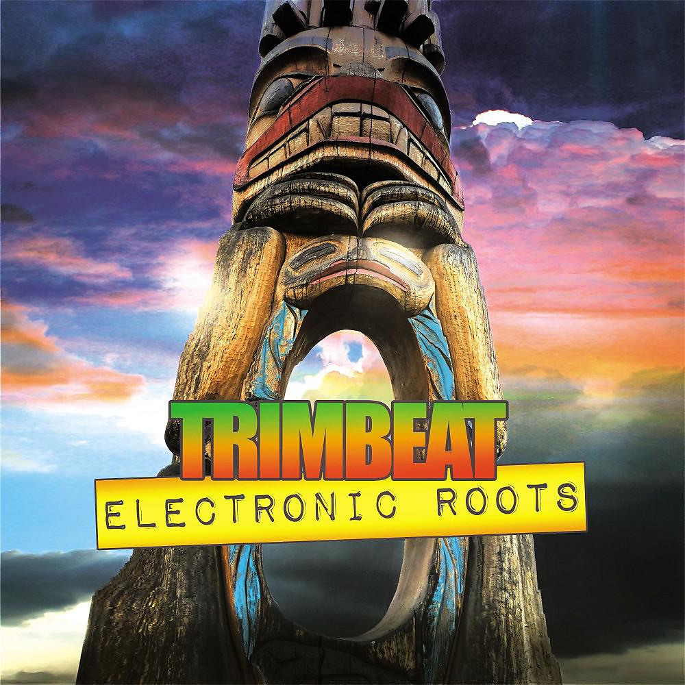 Постер альбома Electronic Roots