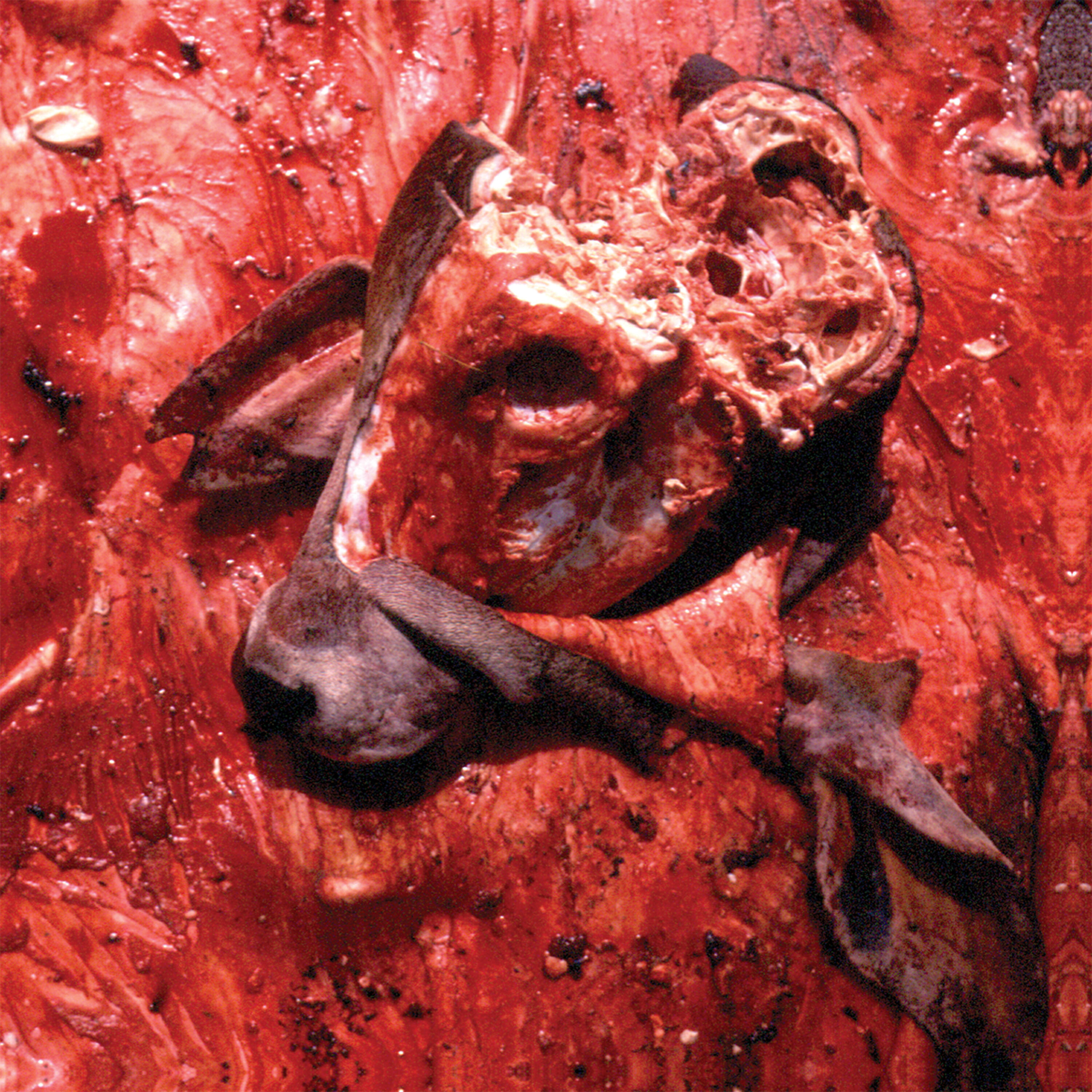 Cattle Decapitation - Parasitic Infestation (Extracted Pus Mistaken for Yogurt, And Gargled)