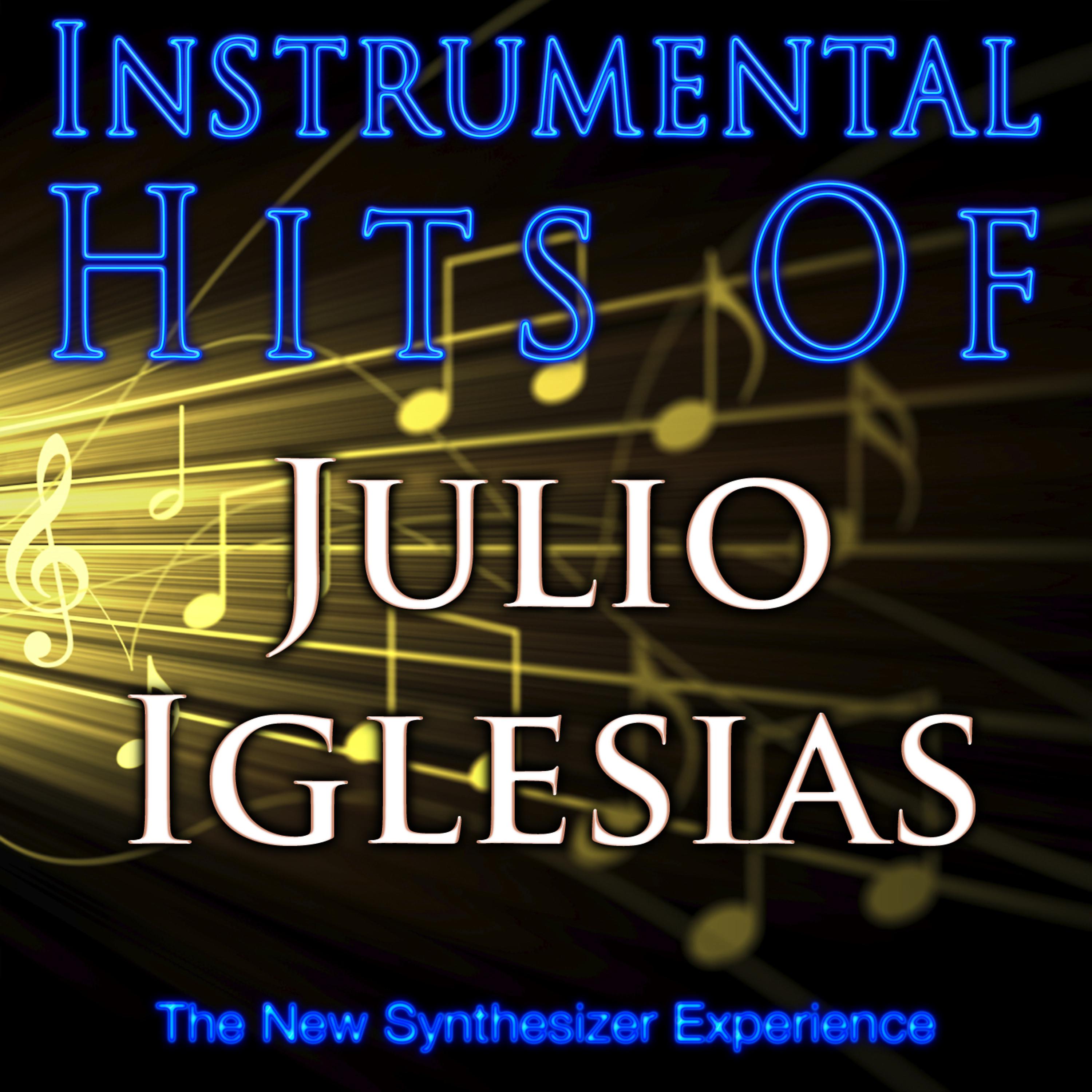 Постер альбома Instrumental Hits of Julio Iglesias