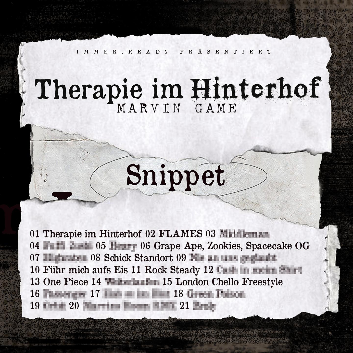 Постер альбома Therapie im Hinterhof