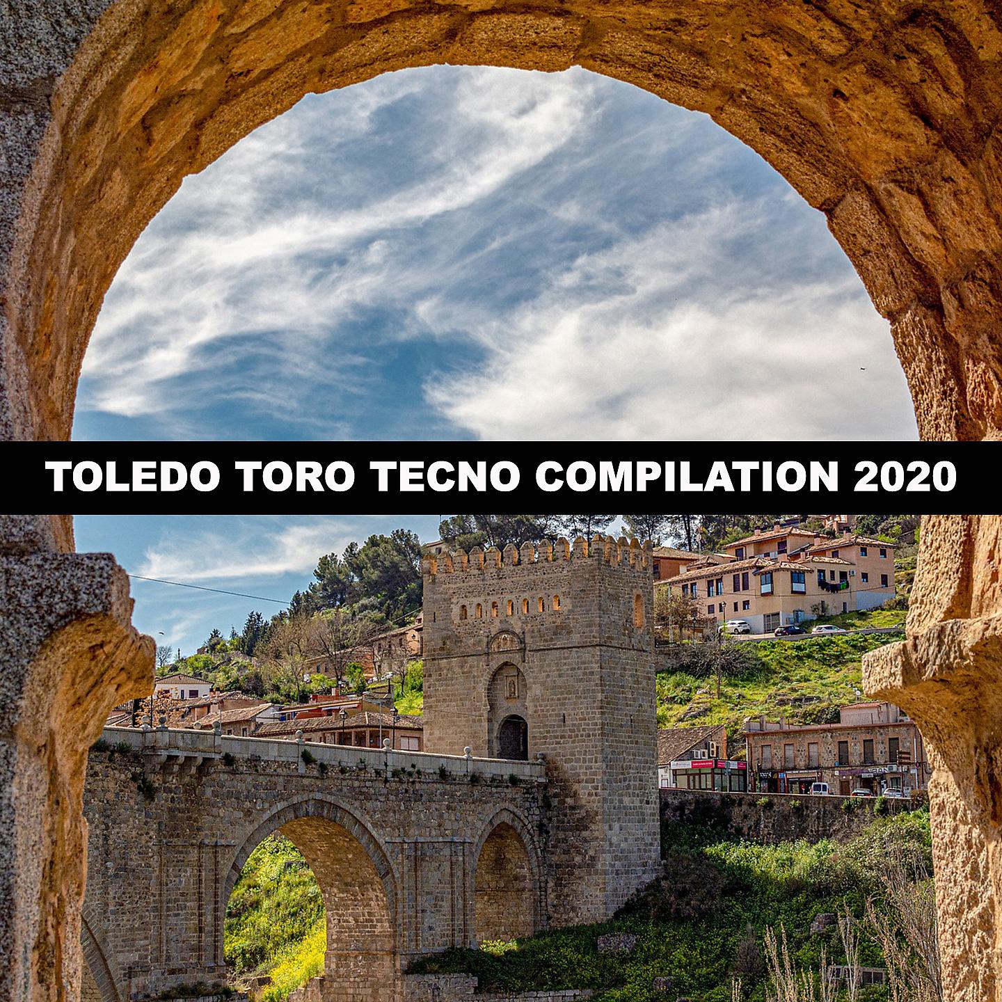 Постер альбома TOLEDO TORO TECNO COMPILATION 2020