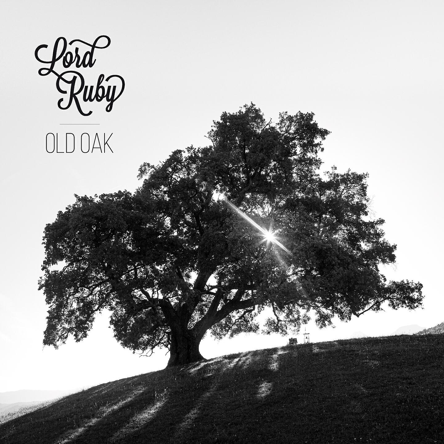 Lord Ruby - Shake It