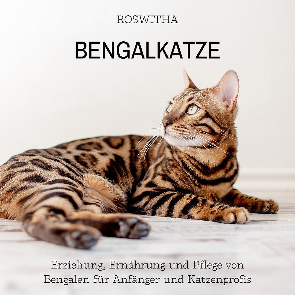 Mario Kunze - Ansprüche der Rasse Bengalkatze
