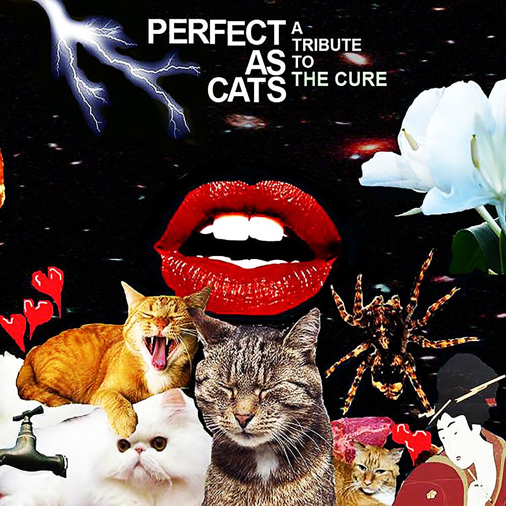 Постер альбома Perfect as Cats: A Tribute to the Cure