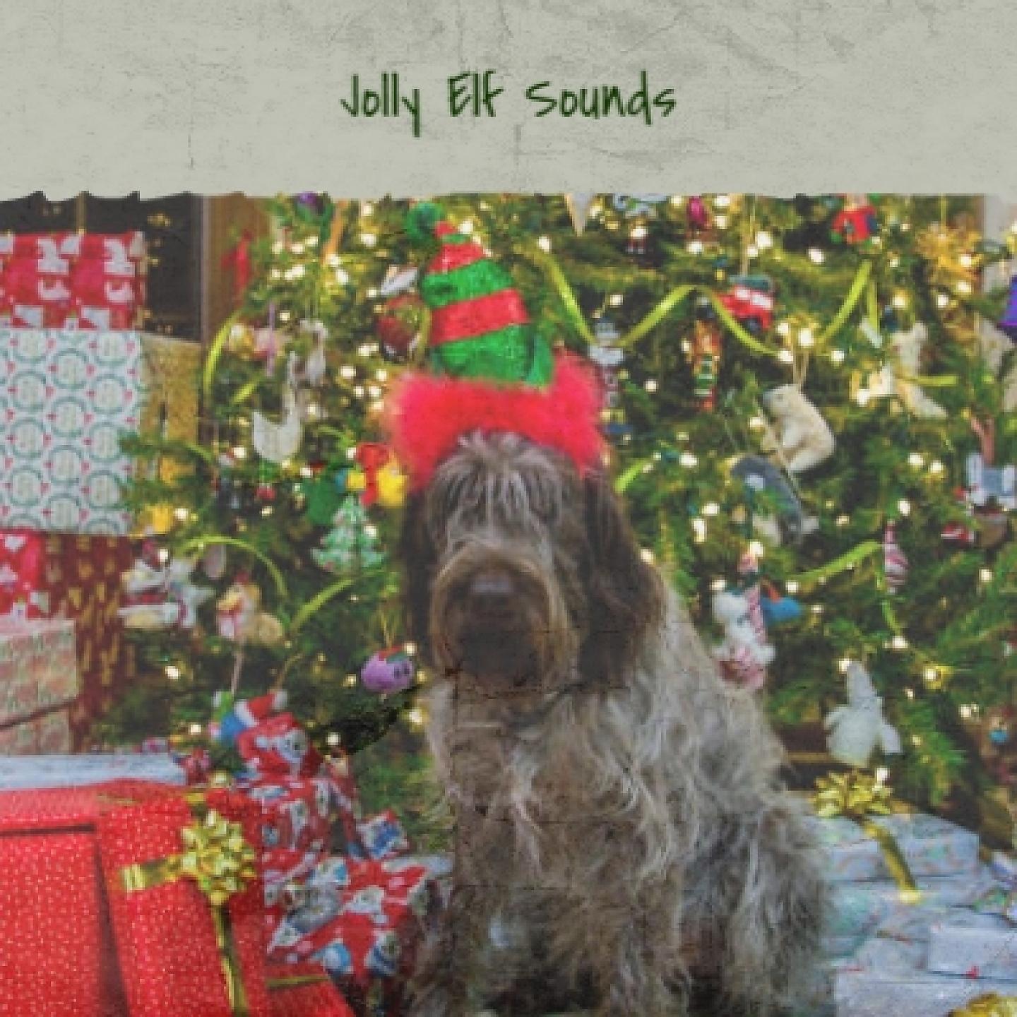 Постер альбома Jolly Elf Sounds
