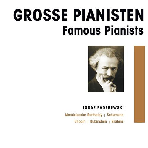 Постер альбома Grosse Pianisten - Ignaz Paderewski