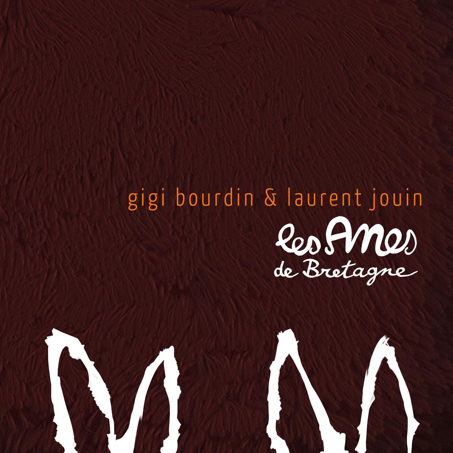 Постер альбома Les anes de bretagne