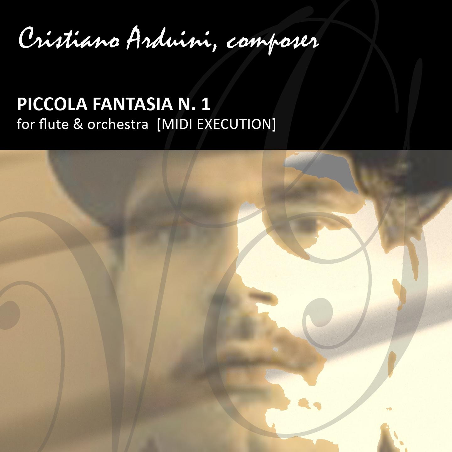 Постер альбома Piccola fantasia No. 1