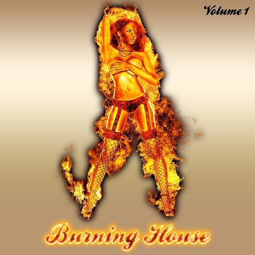 Постер альбома Burning House, Vol. 1