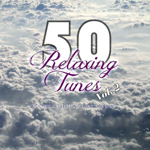 Постер альбома 50 Relaxing Tunes, Vol. 2