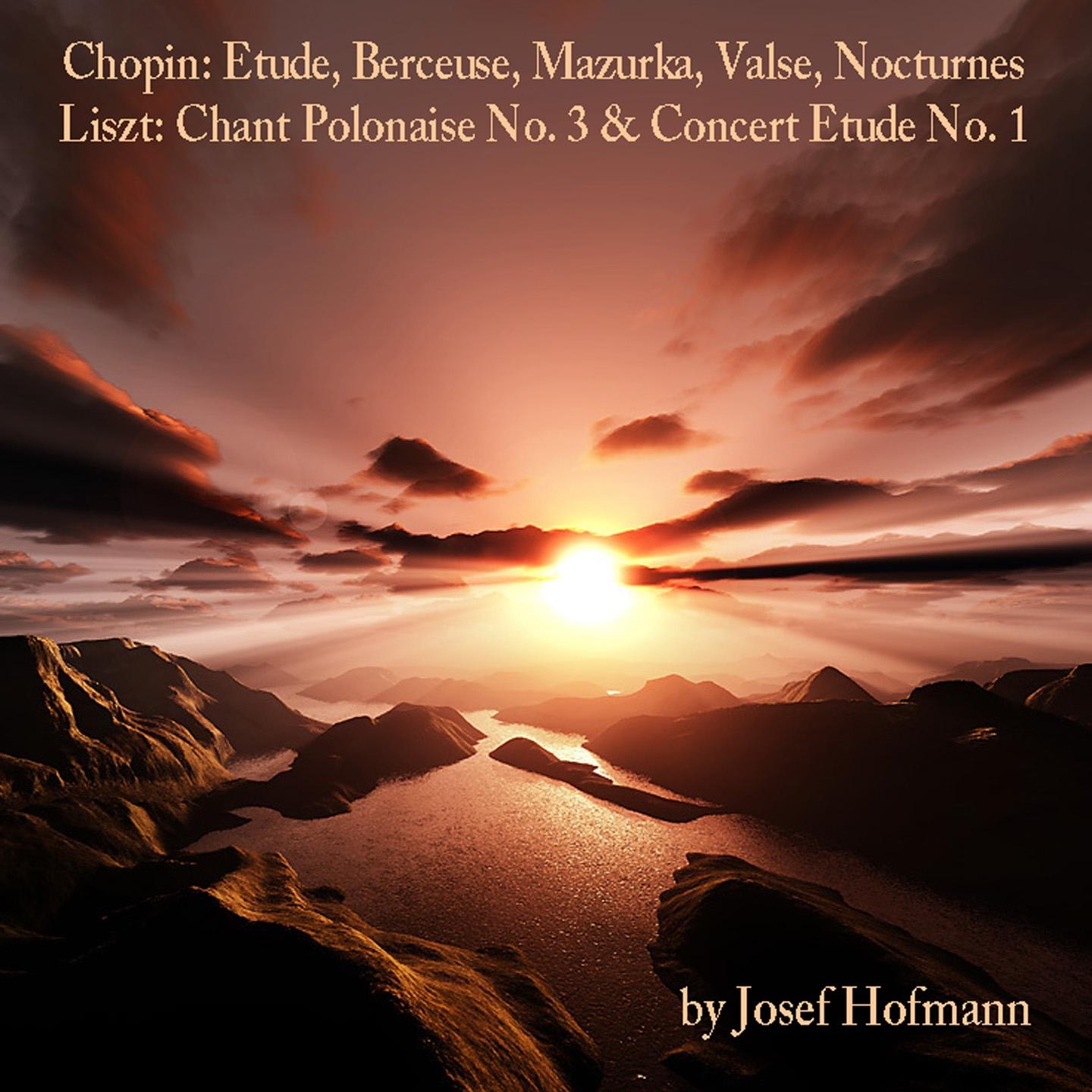Постер альбома Chopin: Etude, Berceuse, Mazurka, Valse, Nocturnes - Liszt: Chant Polonaise No. 3 & Concert Etude No. 1