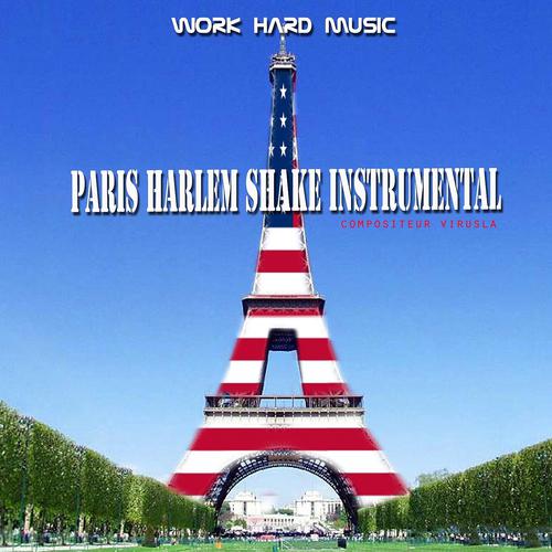 Постер альбома Paris Harlem Shake Instrumental