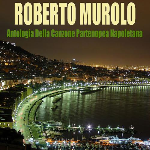 Постер альбома Antologia della canzone partenopea napoletana