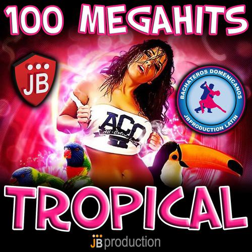 Постер альбома 100 Megahits Tropical Latin Hits 2013 (New Collection)