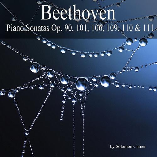 Постер альбома Beethoven: Piano Sonatas, Op. 90, 101, 106, 109, 110 & 111