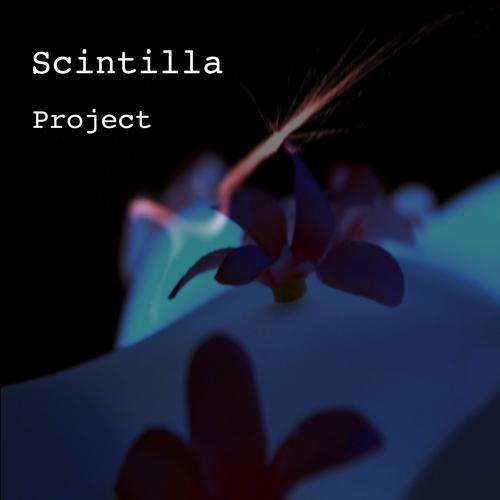 Постер альбома Scintilla Project
