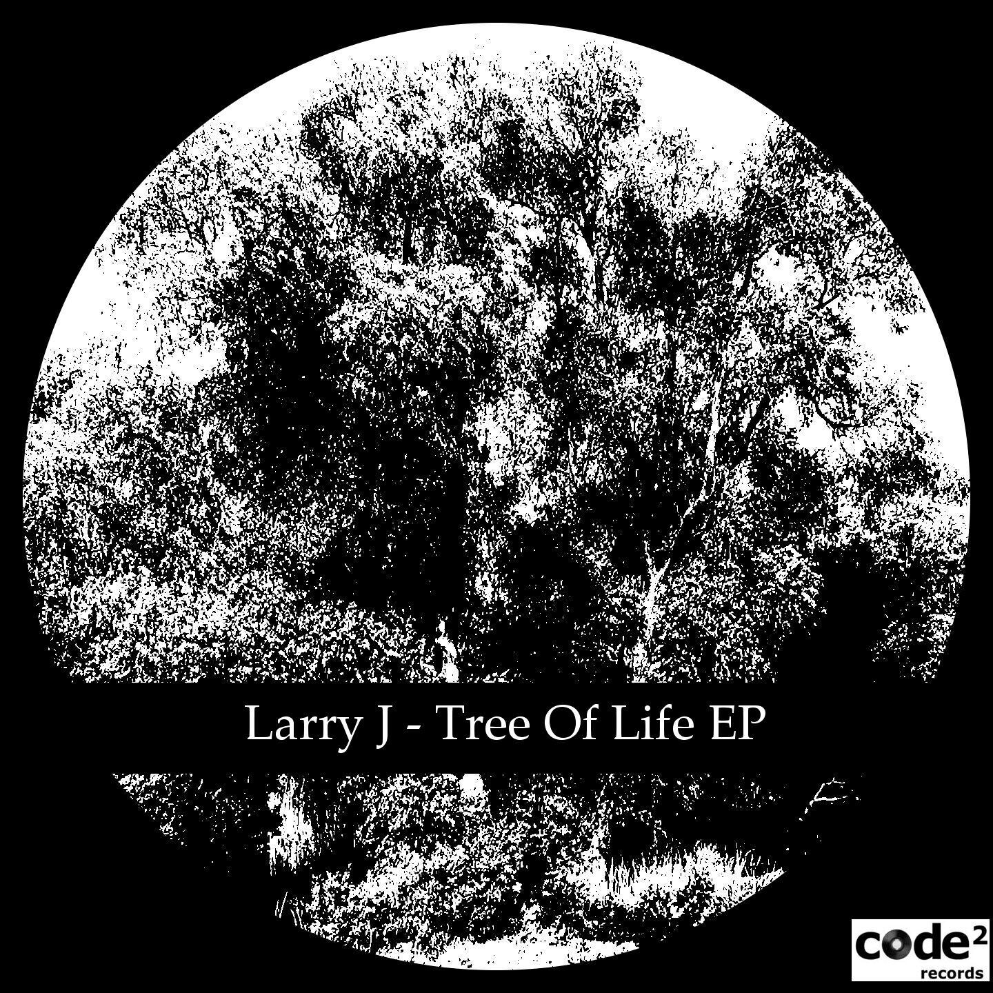 Larry J - Tree of Life (Evgesha Berezhnoy Remix)