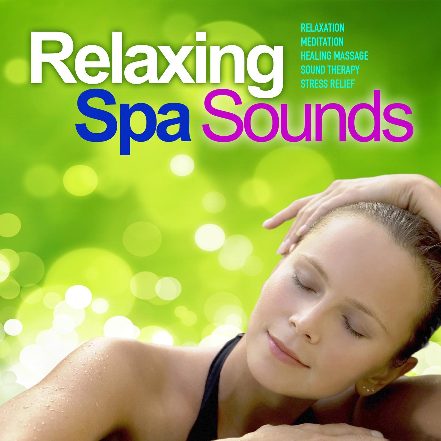 Постер альбома Relaxing Spa Sounds, Vol. 4