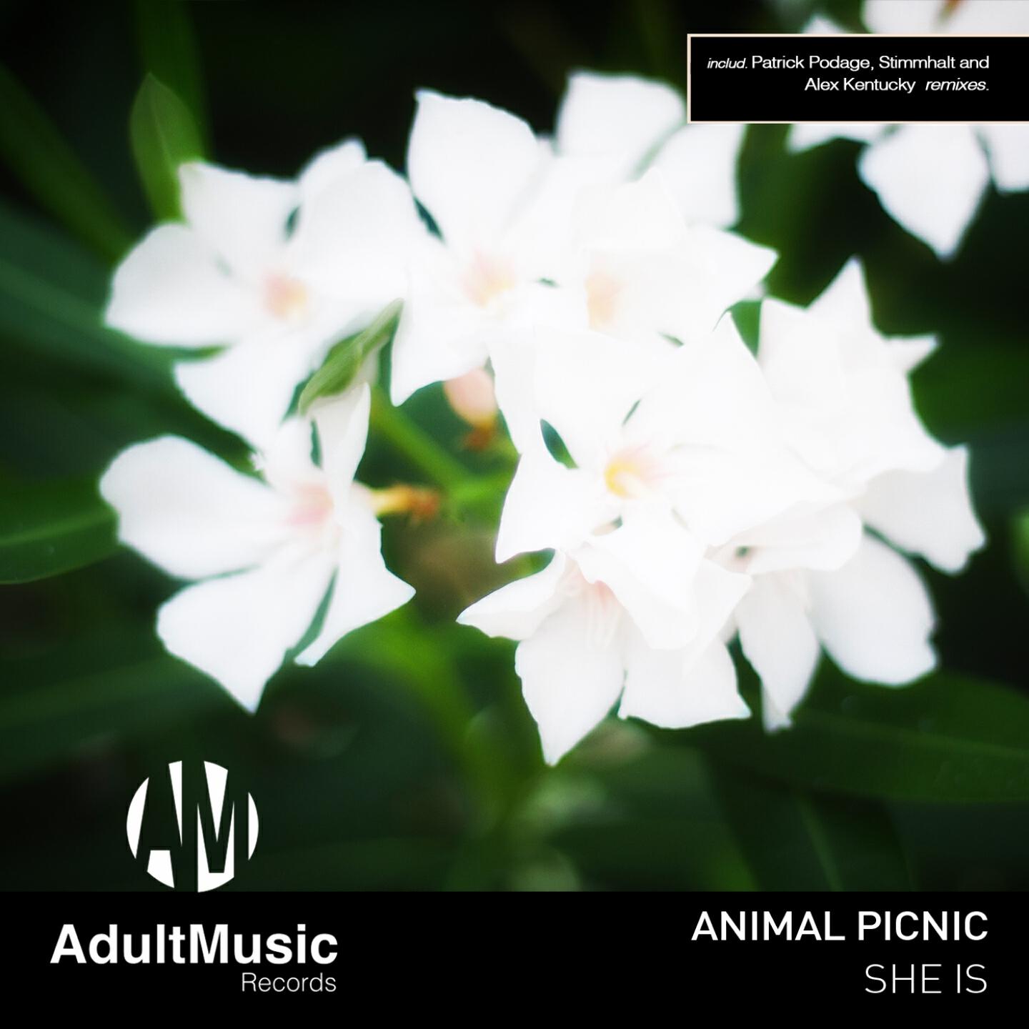 Animal Picnic - She Is (Alex Kentucky Beach Mix)