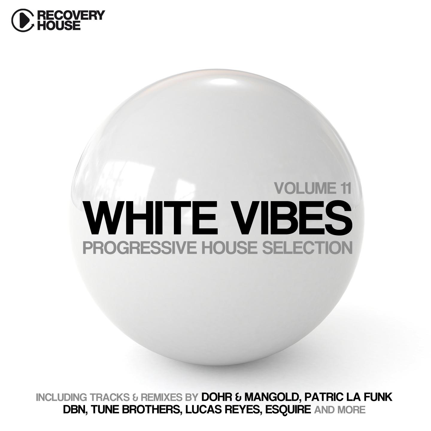 Постер альбома White Vibes - Progressive House Selection,  Vol. 11
