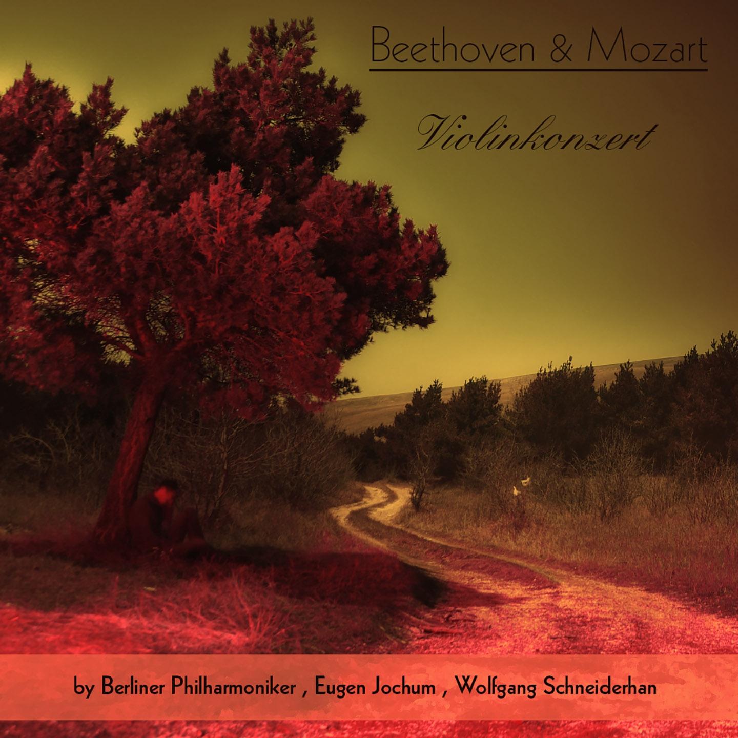 Постер альбома Beethoven & Mozart: Violinkonzert