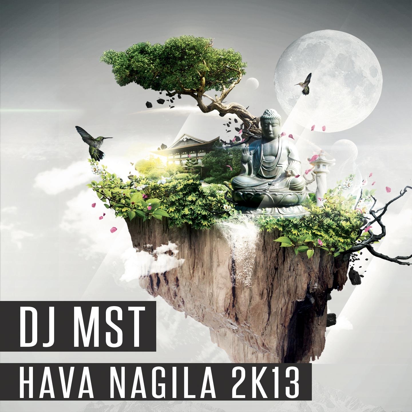 Постер альбома Hava Nagila 2013