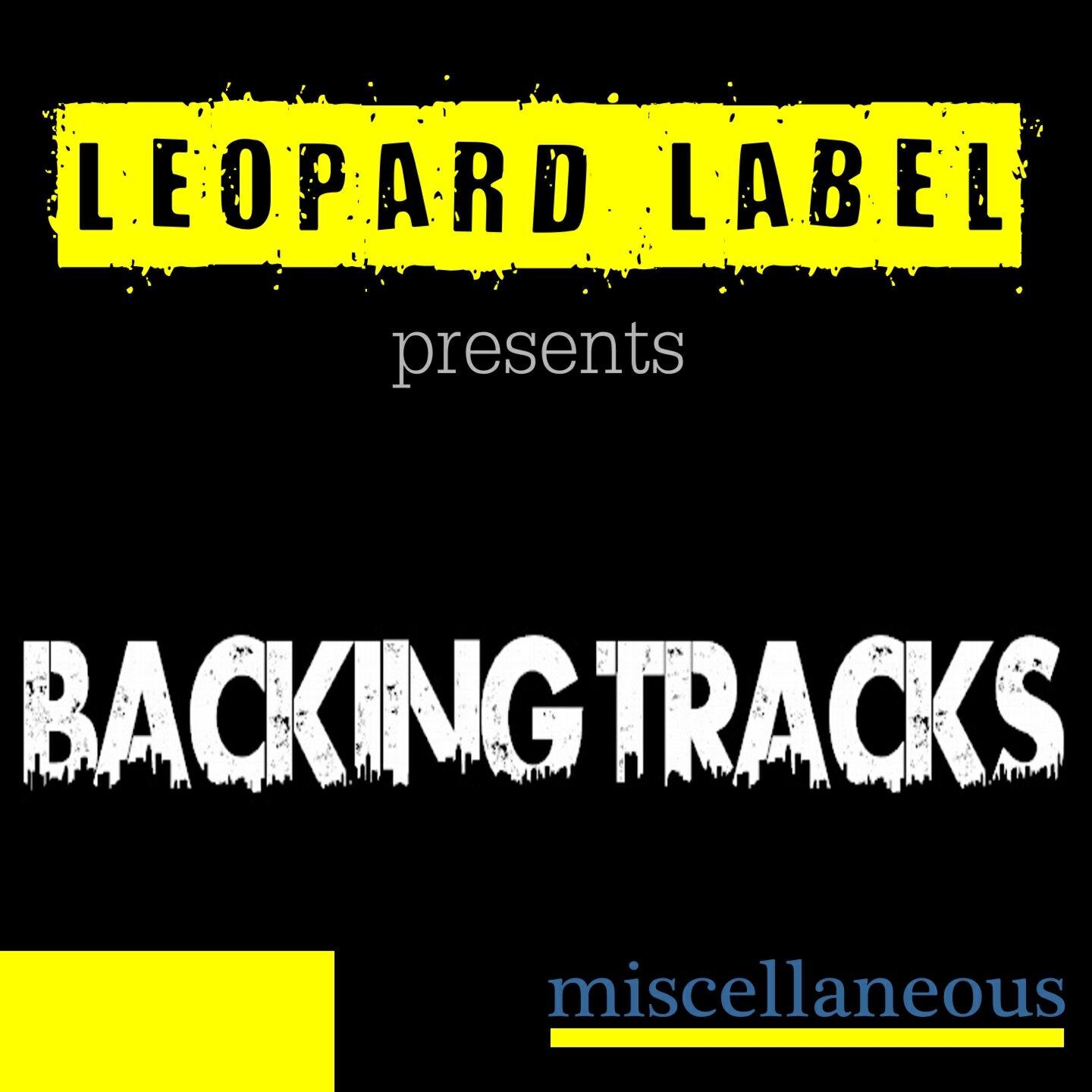 Leopard Powered - Backing Track Ambient 1 (90 Bpm - Dm)