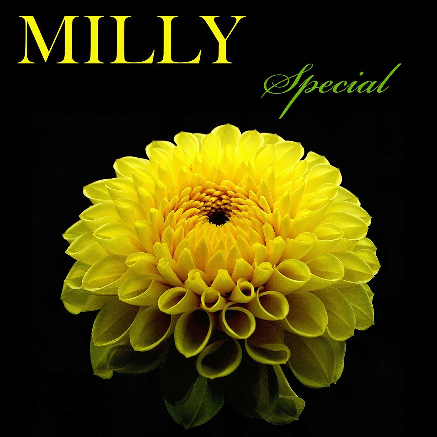 Milly - Giovedì speciale (Il cabaret)