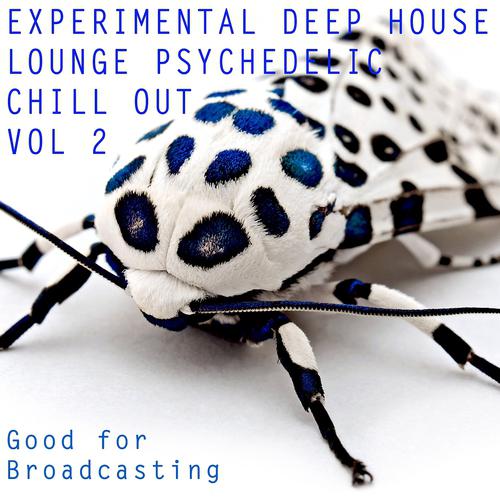 Постер альбома Experimental Deep House Lounge Psychedelic Chill Out, Vol. 2