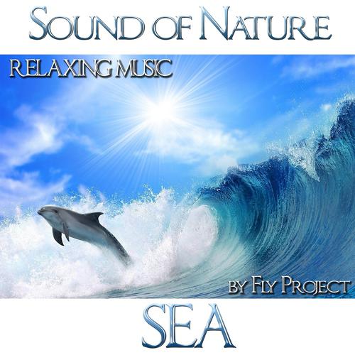 Постер альбома Sound of Nature: Sea
