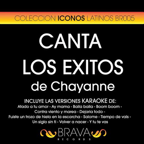 Brava HitMakers - Salome (Karaoke Version) (Originally Performed By Chayanne)
