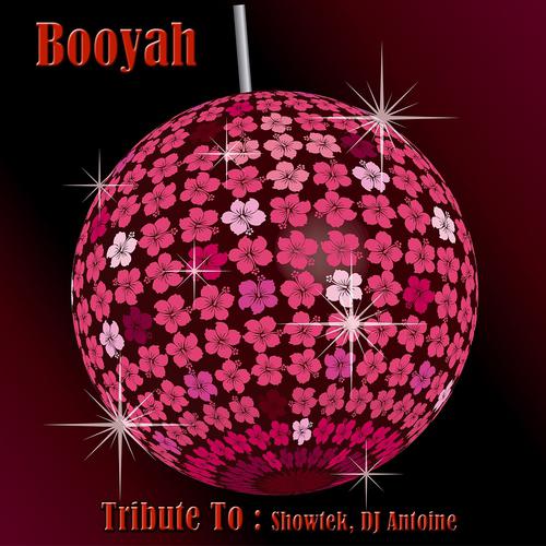 Постер альбома Boohya: Tribute To Showtek, DJ Antoine