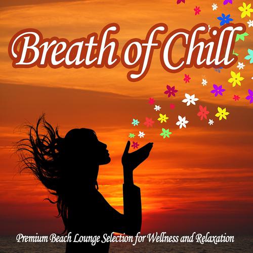 Постер альбома Breath of Chill - Premium Beach Lounge Selection for Wellness and Relaxation