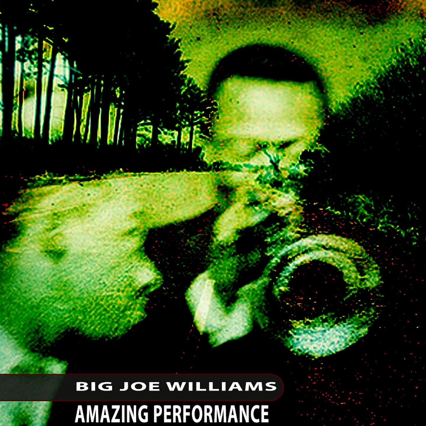 Big Joe Williams - Don't You Leave Me Here
