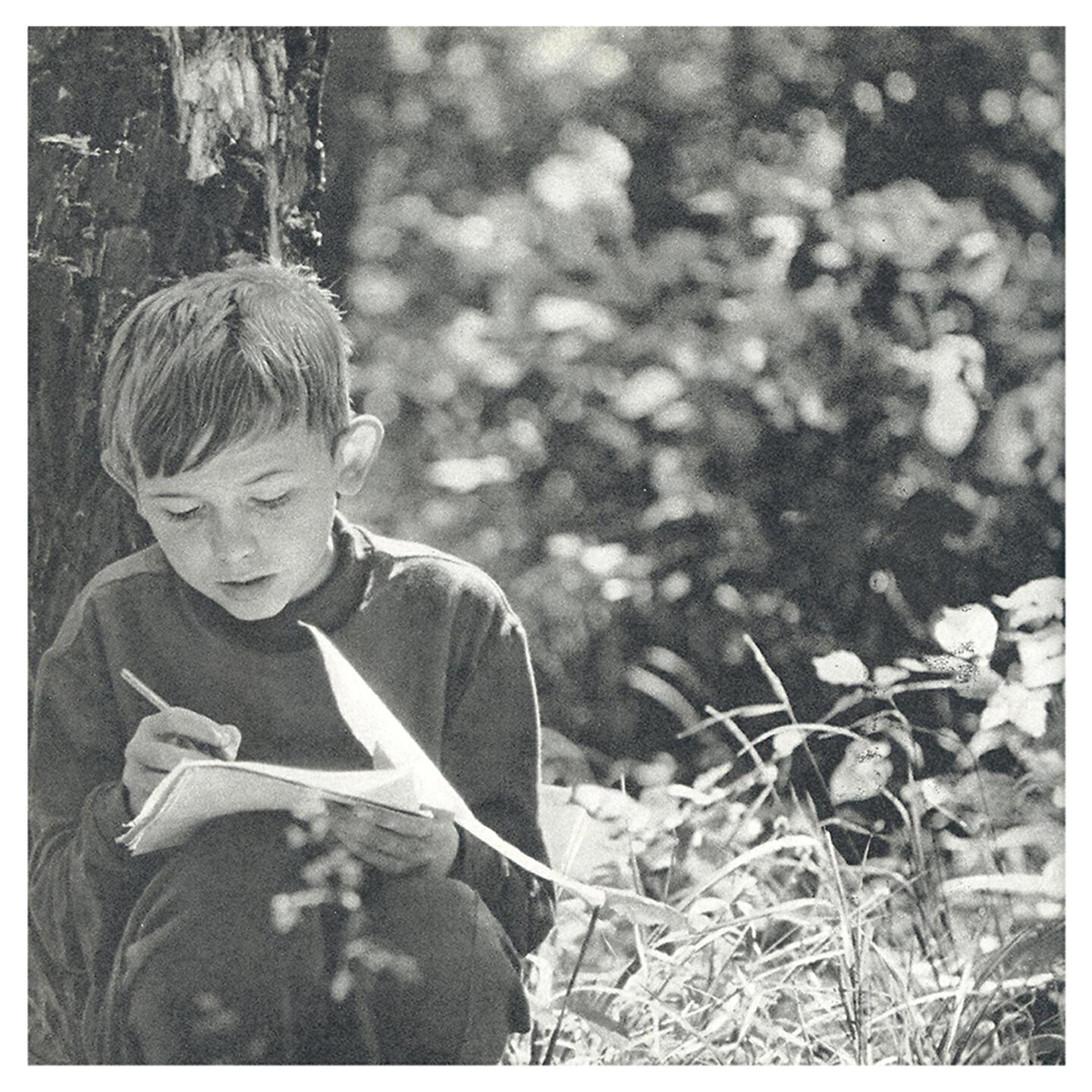 Motorama - Compass