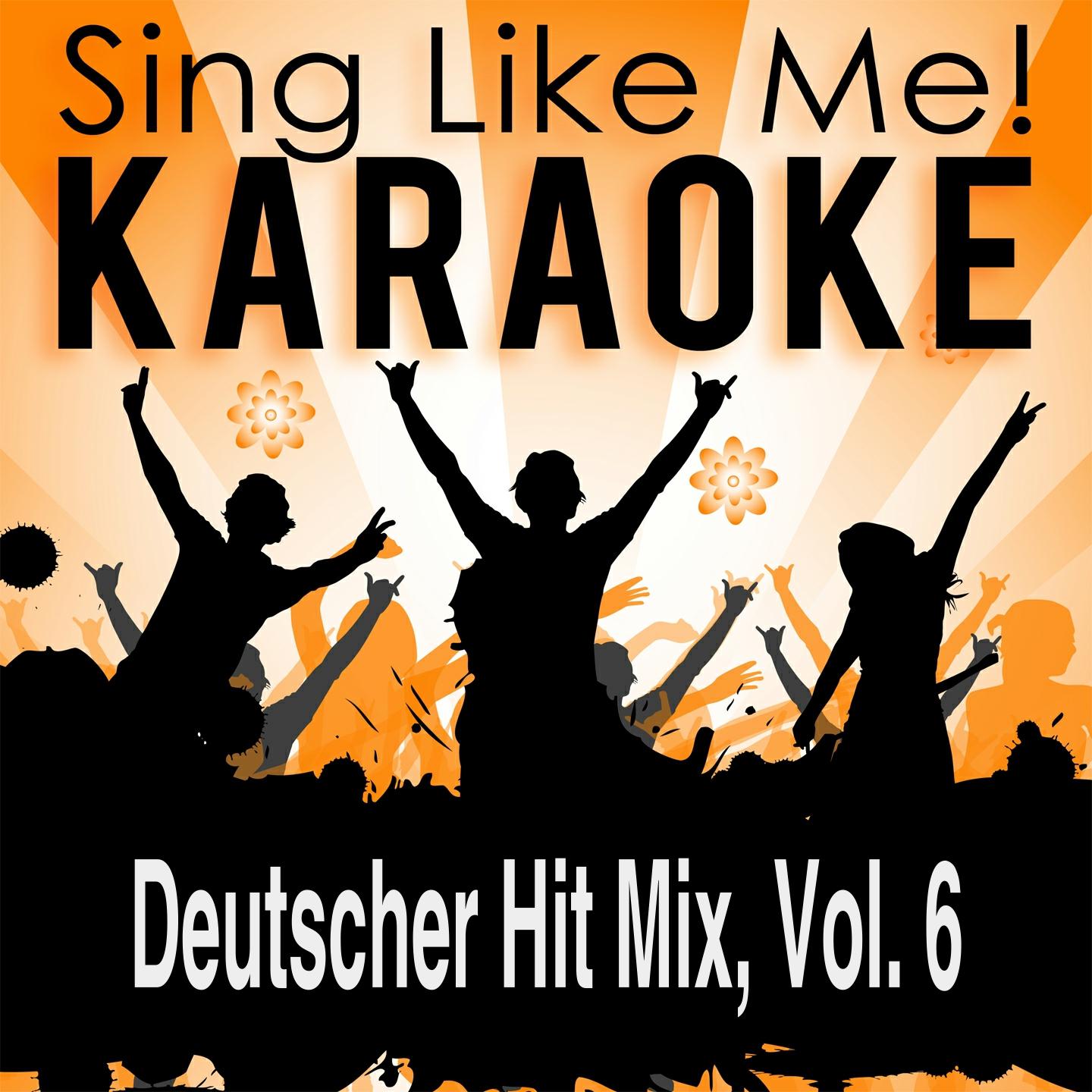 Постер альбома Deutscher Hit Mix, Vol. 6 (Karaoke Version)