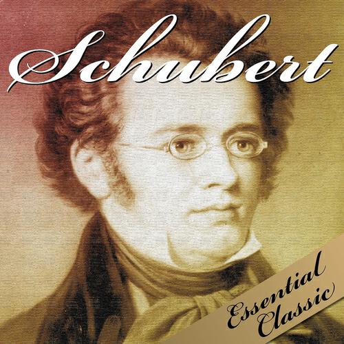 Joseph Nagy - Six moments musicaux, Op. 94, D. 780: No. 5 in F Minor, Allegro vivace
