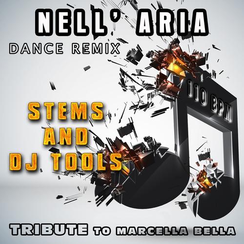Постер альбома Nell'aria: Dance Remix Tribute to Marcella Bella Stems and DJ Tools