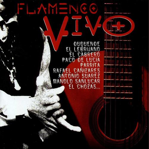 Постер альбома Flamenco Vivo