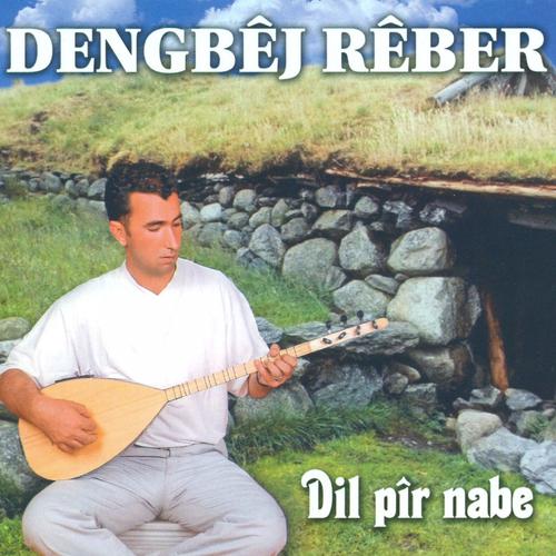 Постер альбома Dil Pîr Nabe