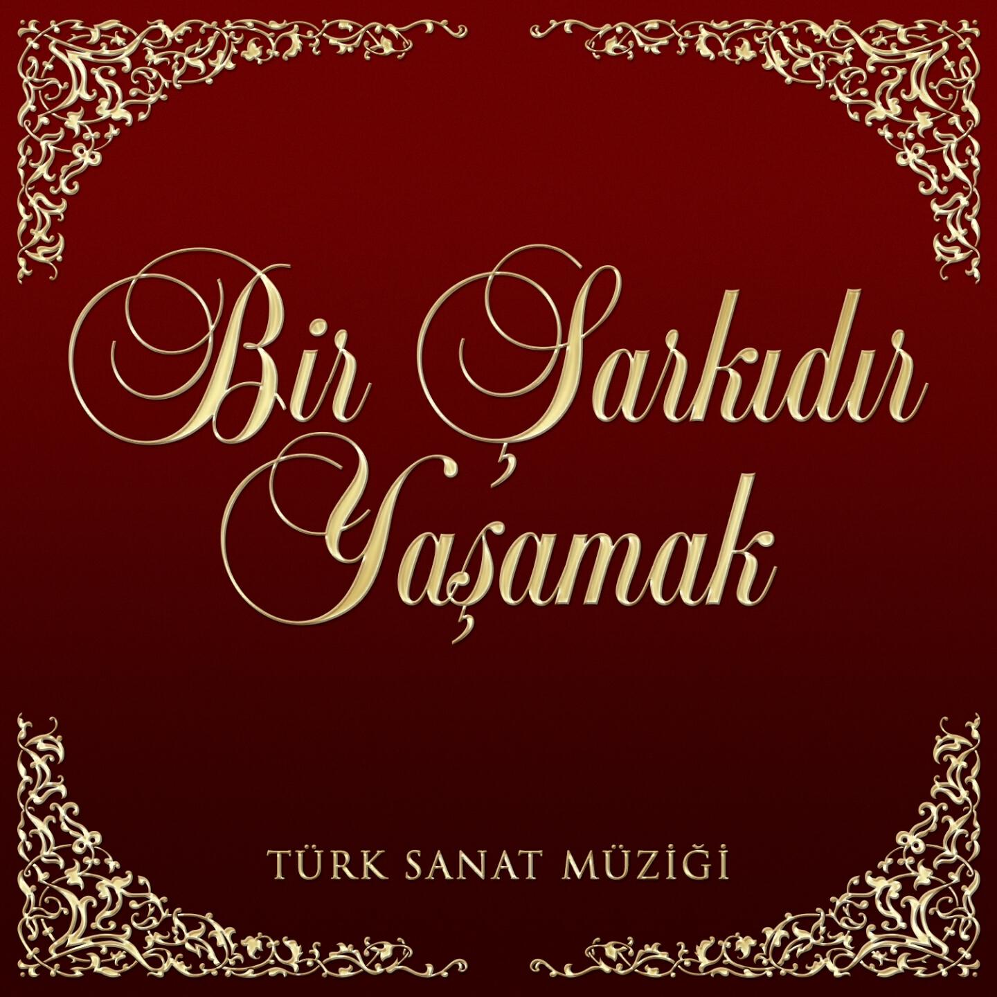 Çetin Körükçü - Bağa Girdim Kamışa