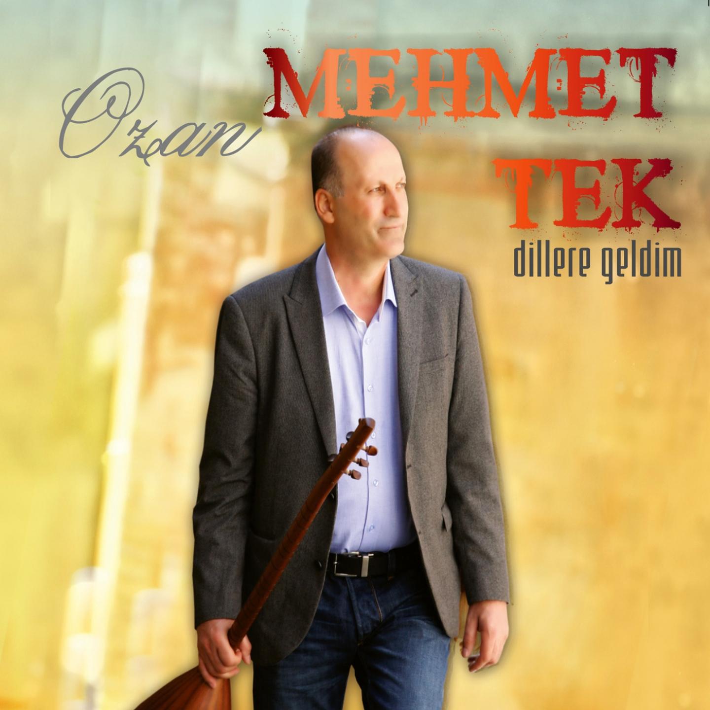 Постер альбома Dillere Geldim
