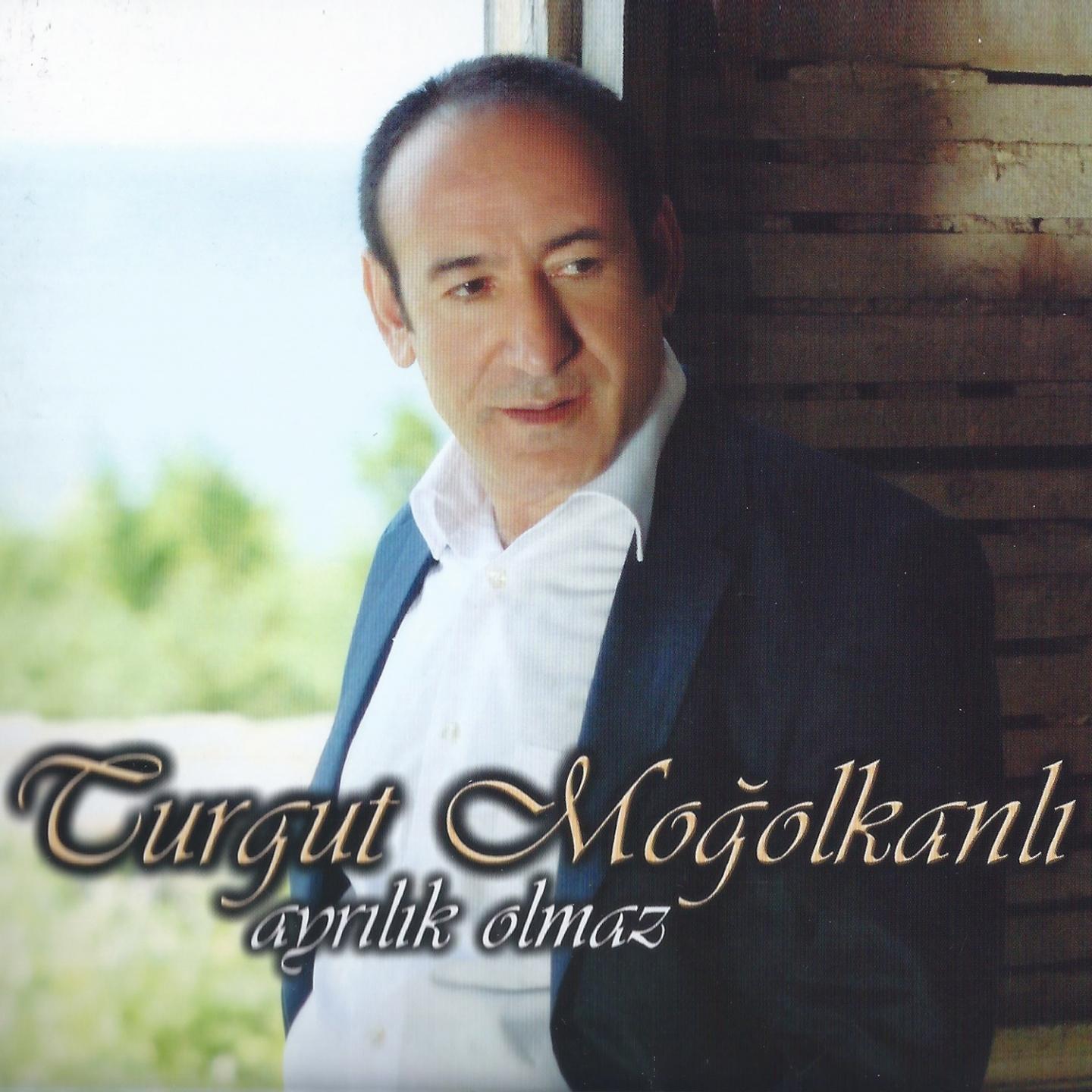 Постер альбома Ayrılık Olmaz