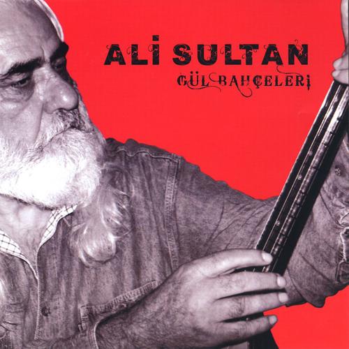 Постер альбома Gül Bahçeleri
